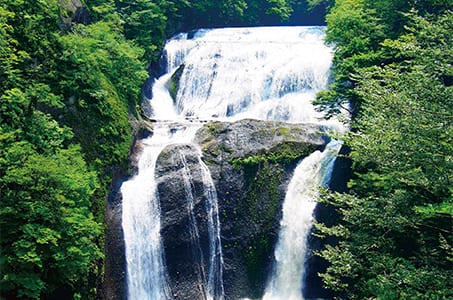 【鹿児島空港発着】はじめての茨城県・常陸の国・房総半島 秋の10景めぐり3日間 ~常夏の楽園スパリゾートハワイアンズ(1泊目)と日本が誇る名門ホテル(2泊目)に泊まる~2